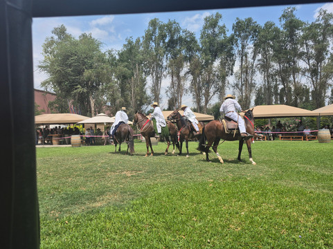 Tacama-伊卡必去景点