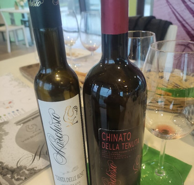 Marchisio Family Vini Piemontesi