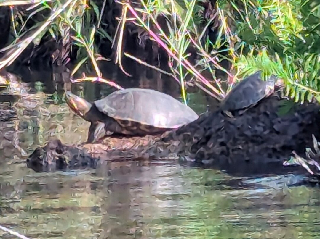 Mystic Embrace-Chacala必去景点