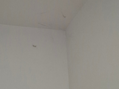 Exceptionnel Studio Versailles