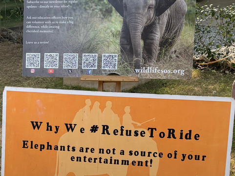 Elephant Conservation & Care Center-马图拉必去景点