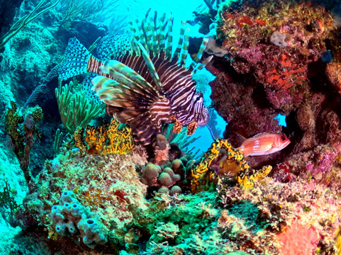 Varadero Diving Tour-Playa Larga必去景点