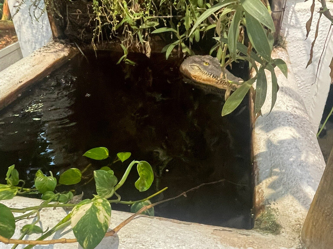 Malmo Reptile Center-马尔默必去景点