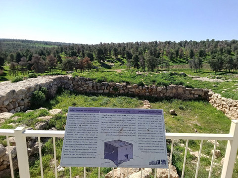 Yatir Forest-Arad必去景点