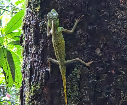 Best of Lanka-科伦坡必去景点