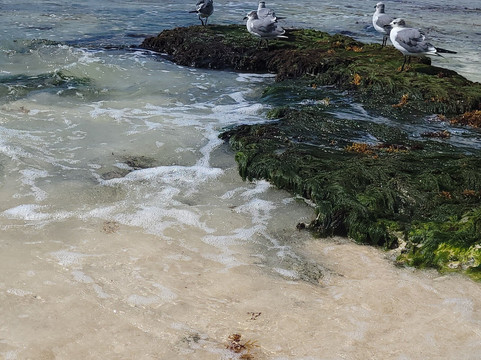 Playa Punta Esmeralda-普拉亚德尔卡曼必去景点
