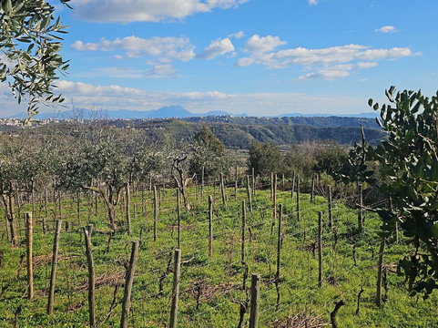 Cantine Astroni-那不勒斯必去景点