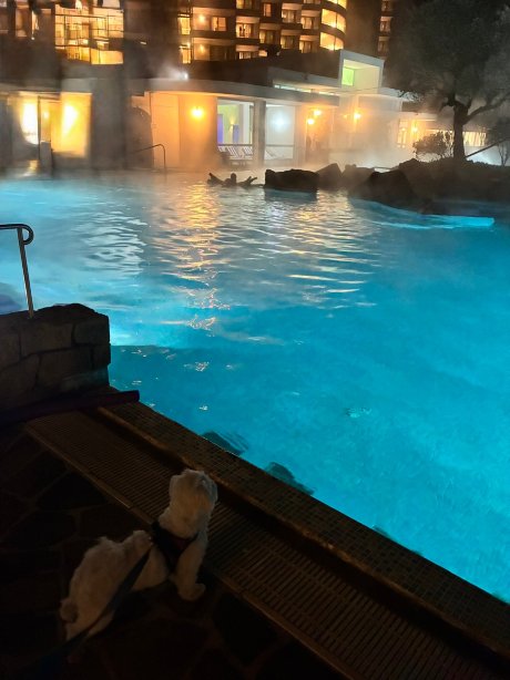 加尔齐尼亚诺温泉度假村及高尔夫 - 运动酒店-官方