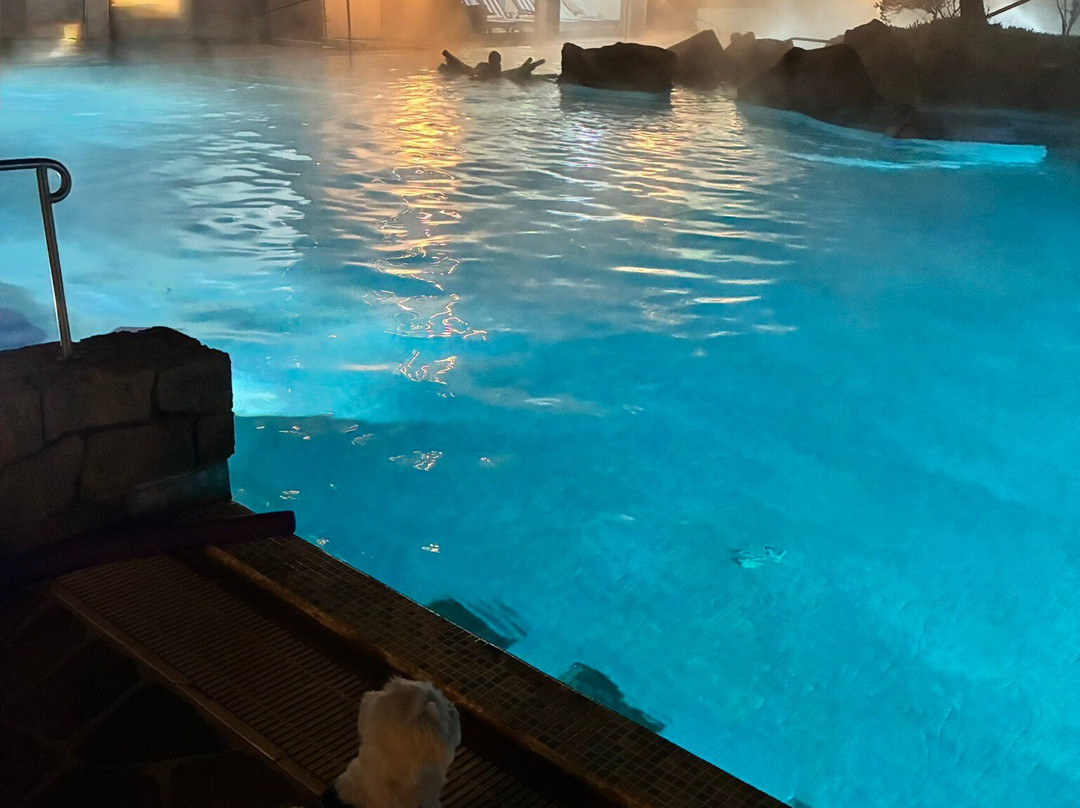 加尔齐尼亚诺温泉度假村及高尔夫 - 运动酒店主图