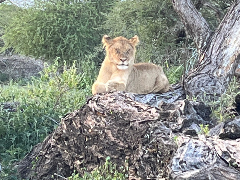 Tanzania-Experience-阿鲁沙必去景点