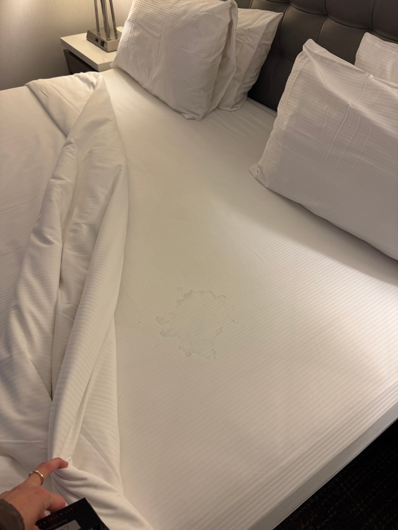 肯辛顿酒店-官方