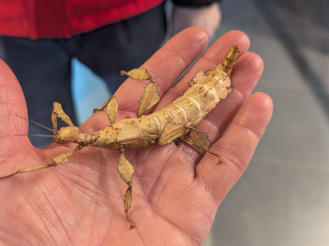 Citta Della Scienza-那不勒斯必去景点