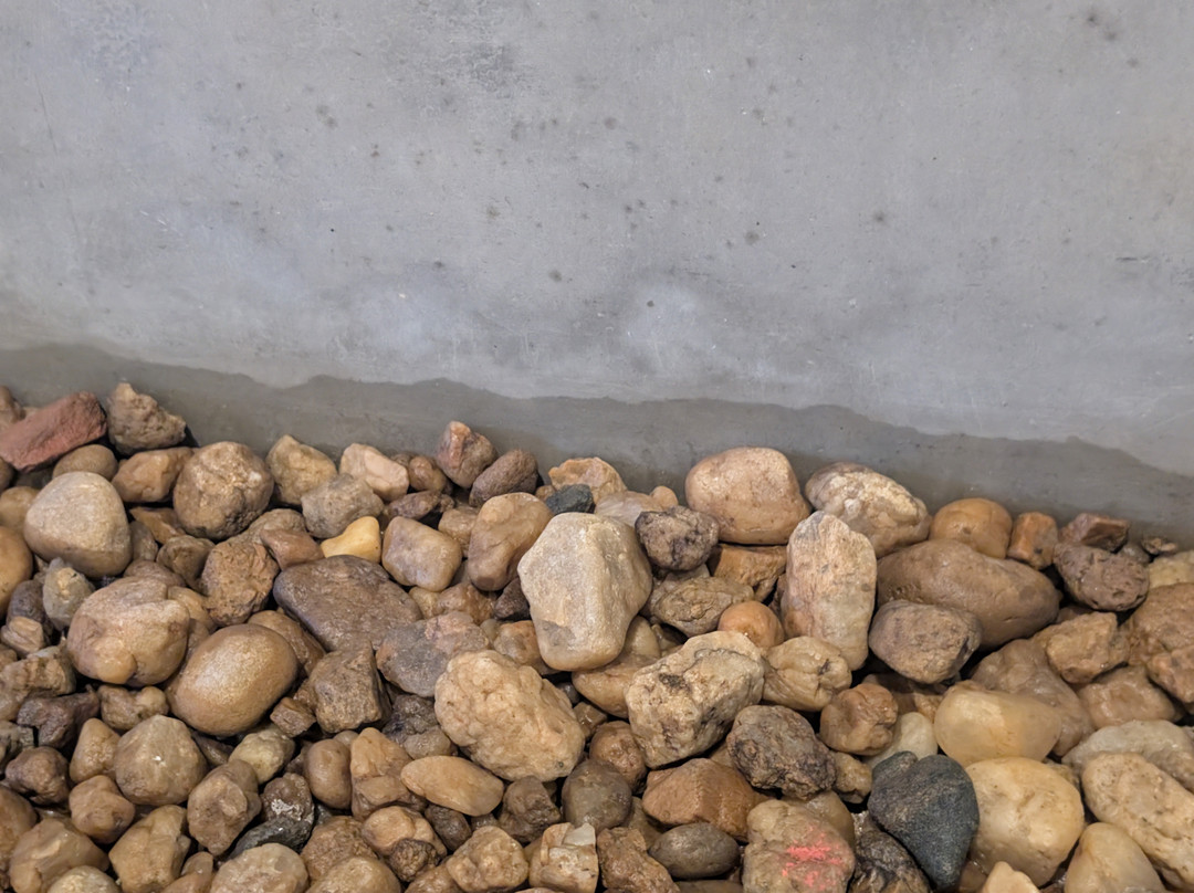 加勒丛林阁楼主图