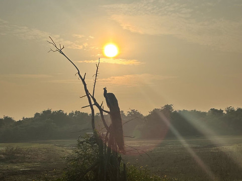Feel Free Travel-曼谷必去景点