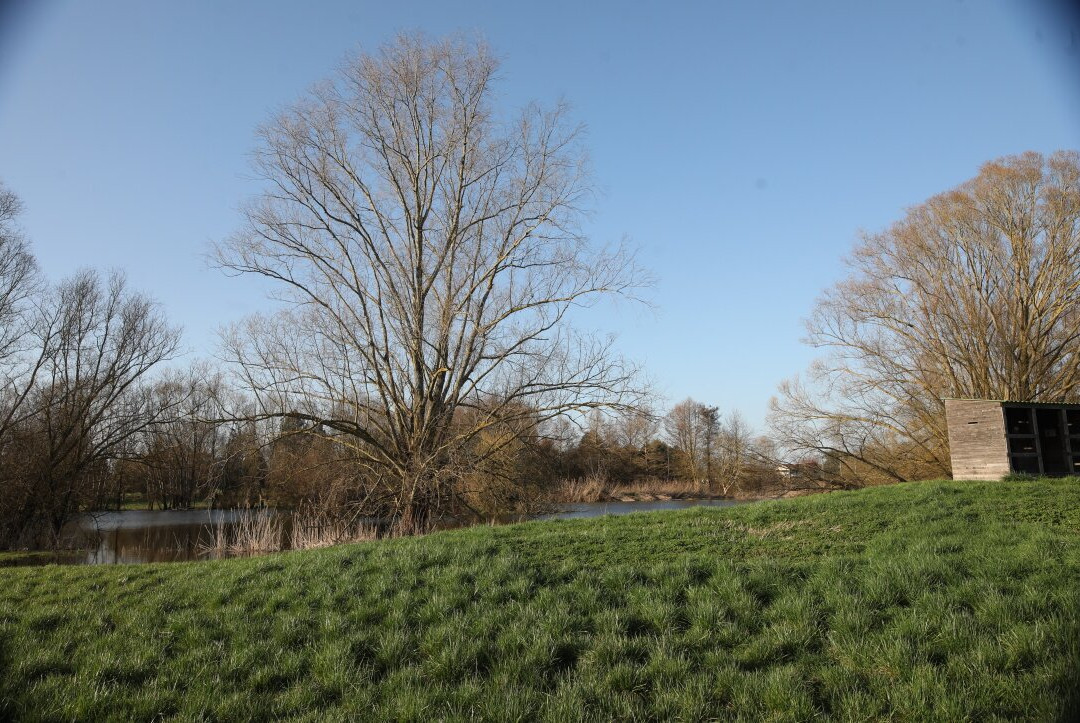 Le Lac de Crissey-Crissey必去景点