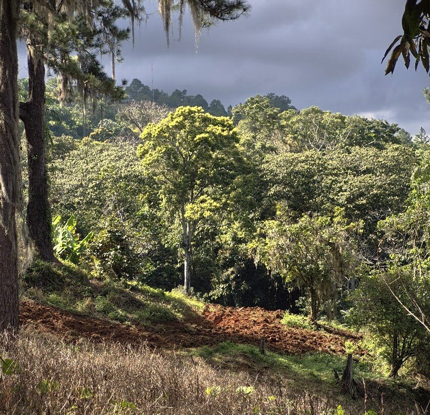 Salto De Jimenoa Uno-Jarabacoa必去景点