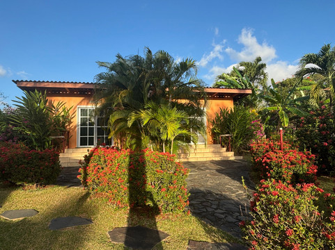 科利布里斯小屋酒店主图