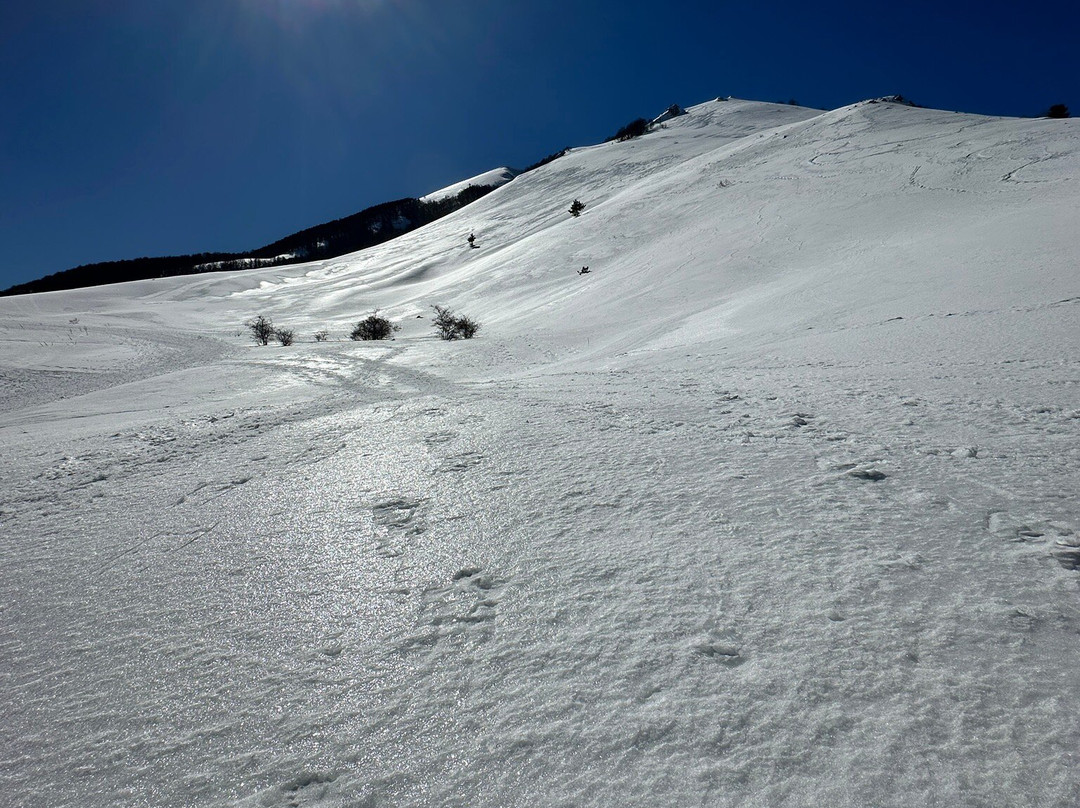 多恩路易斯酒店主图