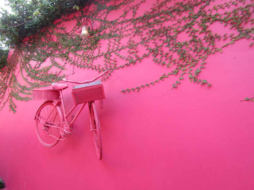 Paseo de Dona Blanca-普拉塔港必去景点