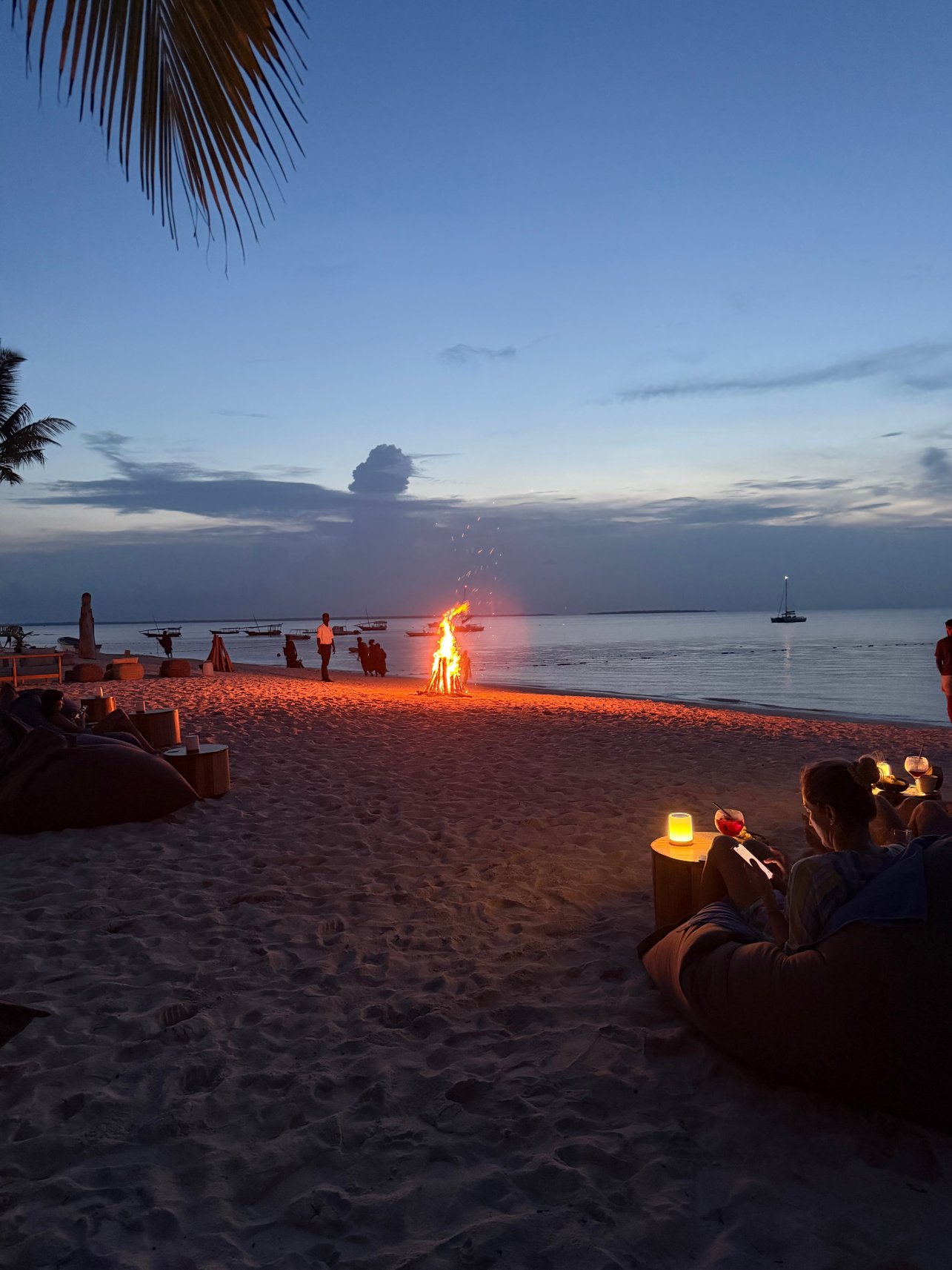 苏里尚吉巴酒店-官方