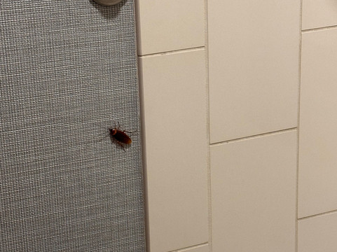 沃斯堡凯悦嘉轩酒店/市景主图