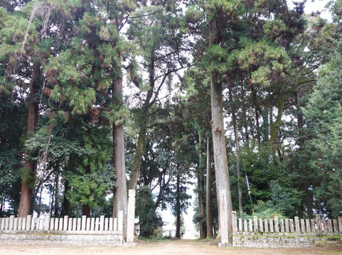 Kumano Shrine-神河町必去景点