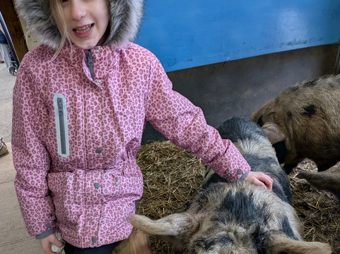 Piglets Adventure Farm-约克必去景点