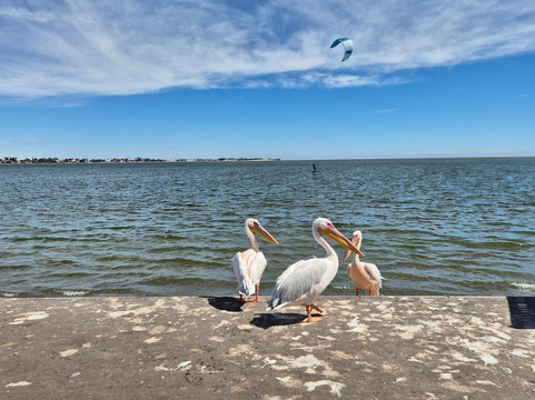 Desert Dunes & Dust Tours-斯瓦科普蒙德必去景点