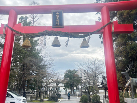 Tachiki Shrine-草津市必去景点