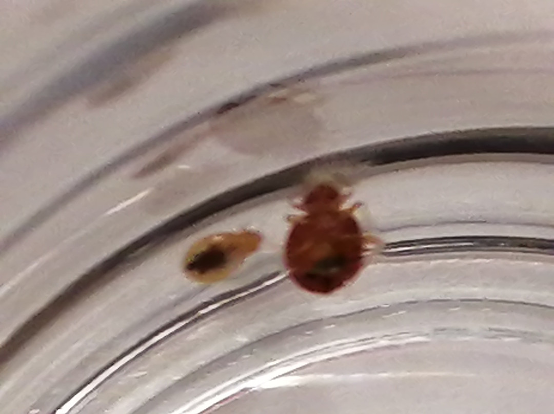 波尔图高级酒店主图