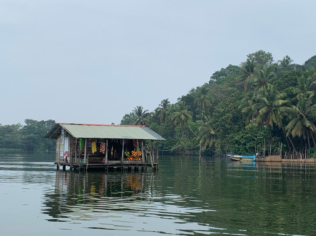 Madu River Safari-巴拉碧提雅必去景点