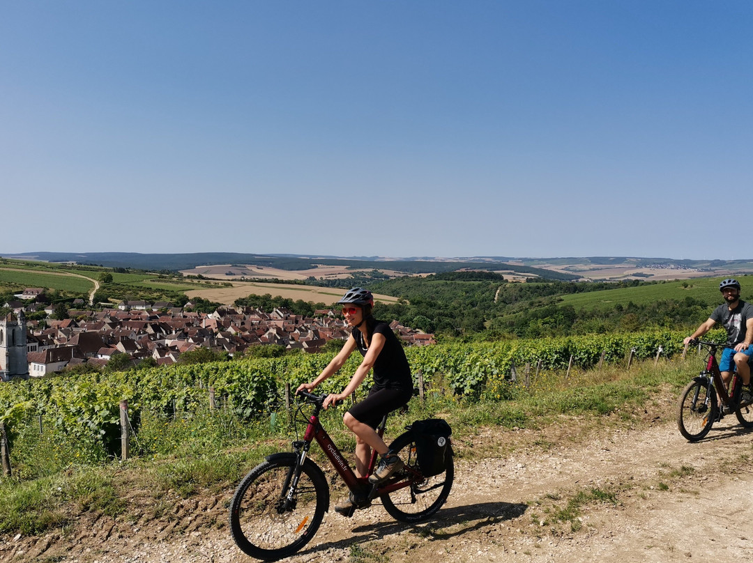 Visite guidée des vignobles d'Irancy et Saint-Bris-Vincelottes必去景点