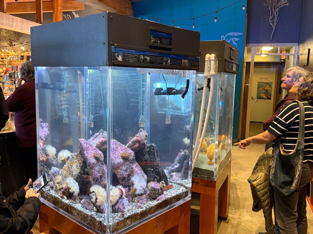Ucluelet Aquarium-尤克卢利特必去景点