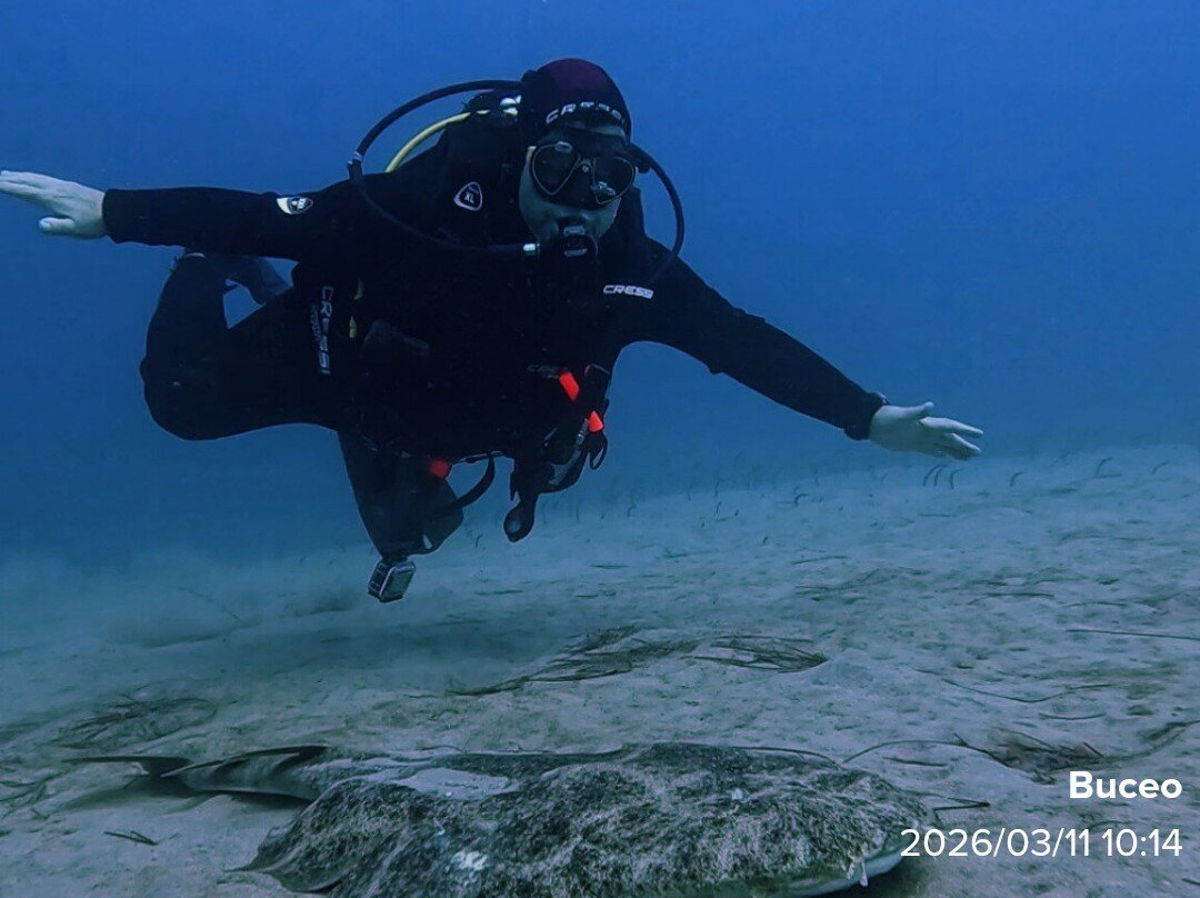 Fuerteventura Buceo Diving center-Morro del Jable必去景点