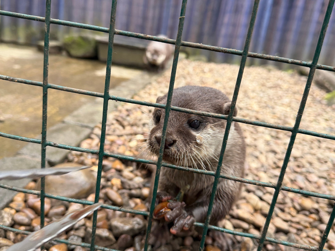 Ponderosa Zoo-Heckmondwike必去景点