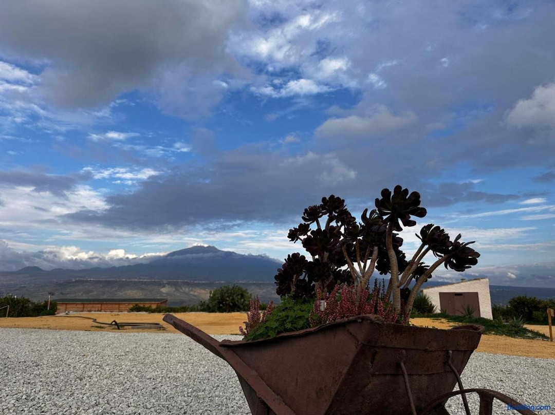 Agriturismo Del Nonno