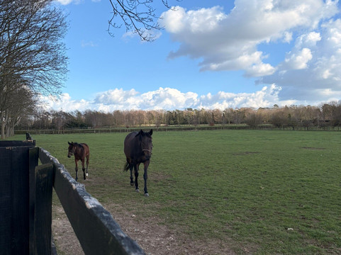 Discover Newmarket Tours-纽马克特必去景点