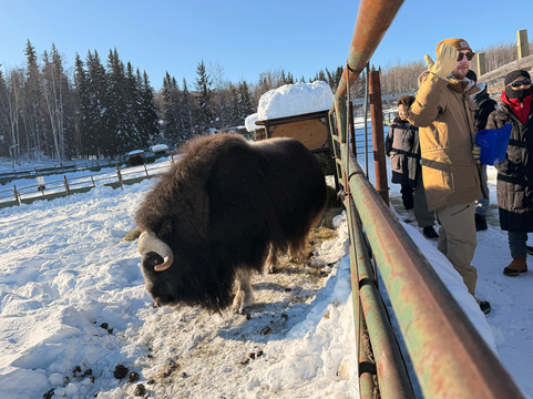 Large Animal Research Station-费尔班克斯必去景点