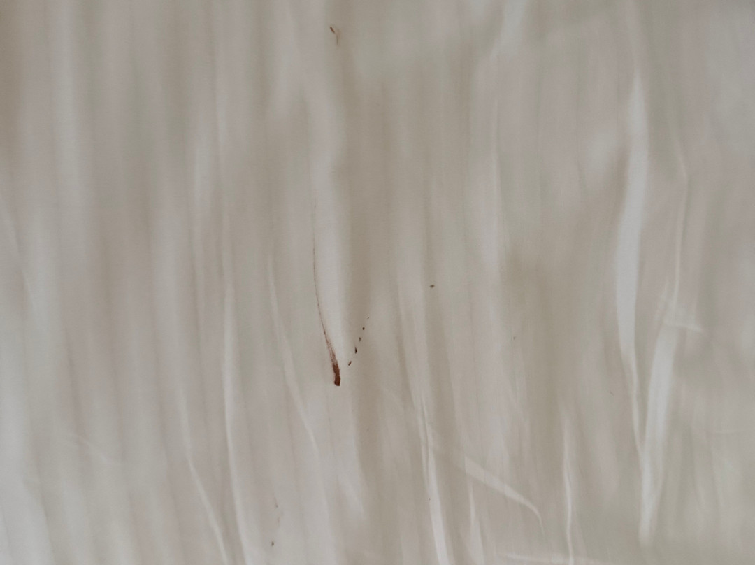 圣迈克尔酒店主图