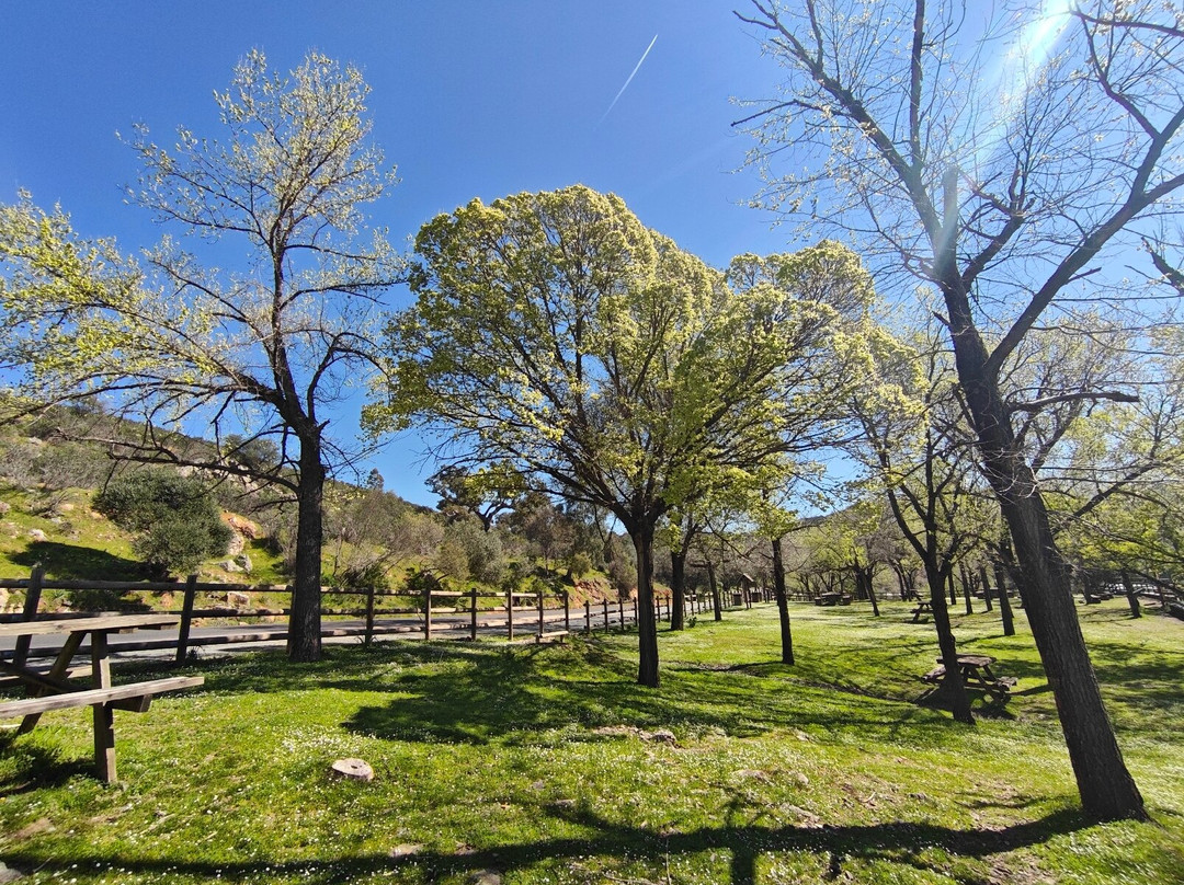 Monfrague National Park-Villarreal de San Carlos必去景点