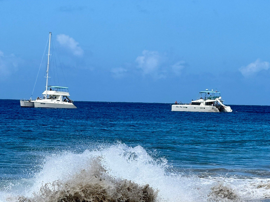 Playa Alicia-苏莎亚必去景点