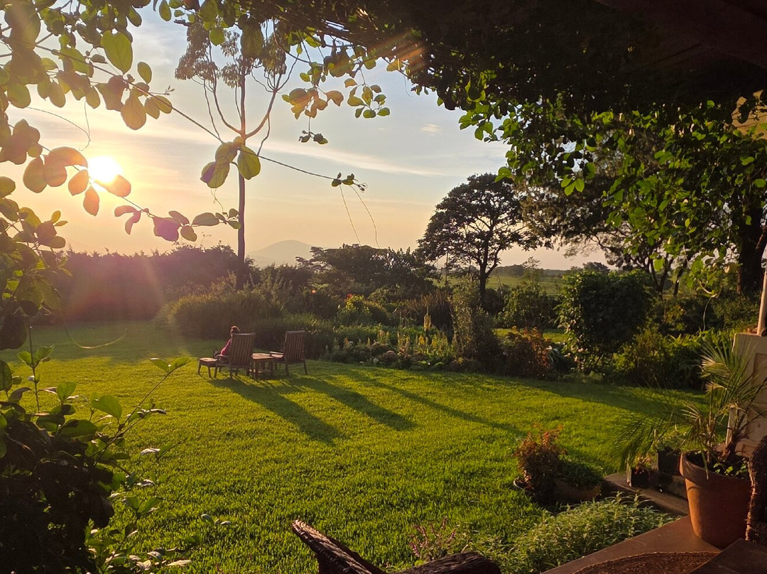 Simba Farm Lodge主图