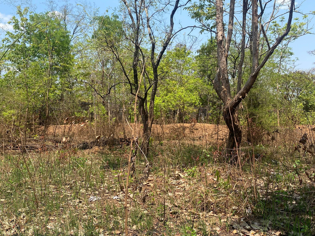 Sona Trekking-邦隆必去景点