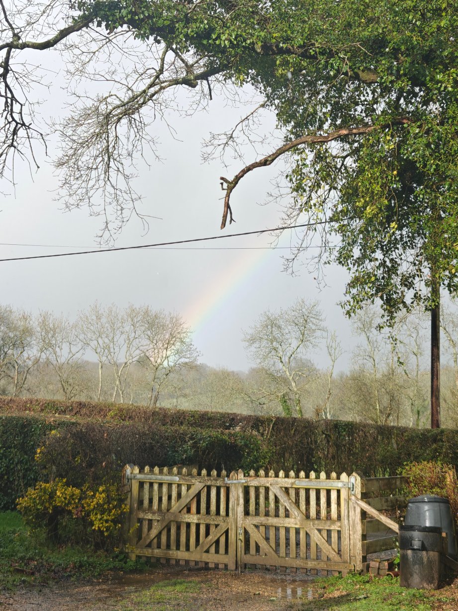 牛顿农庄酒店-官方