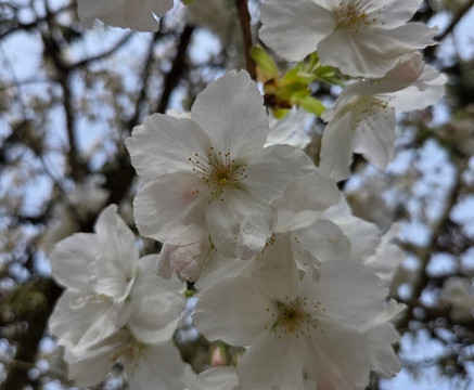 Millets Farm Centre-弗里福德希斯必去景点