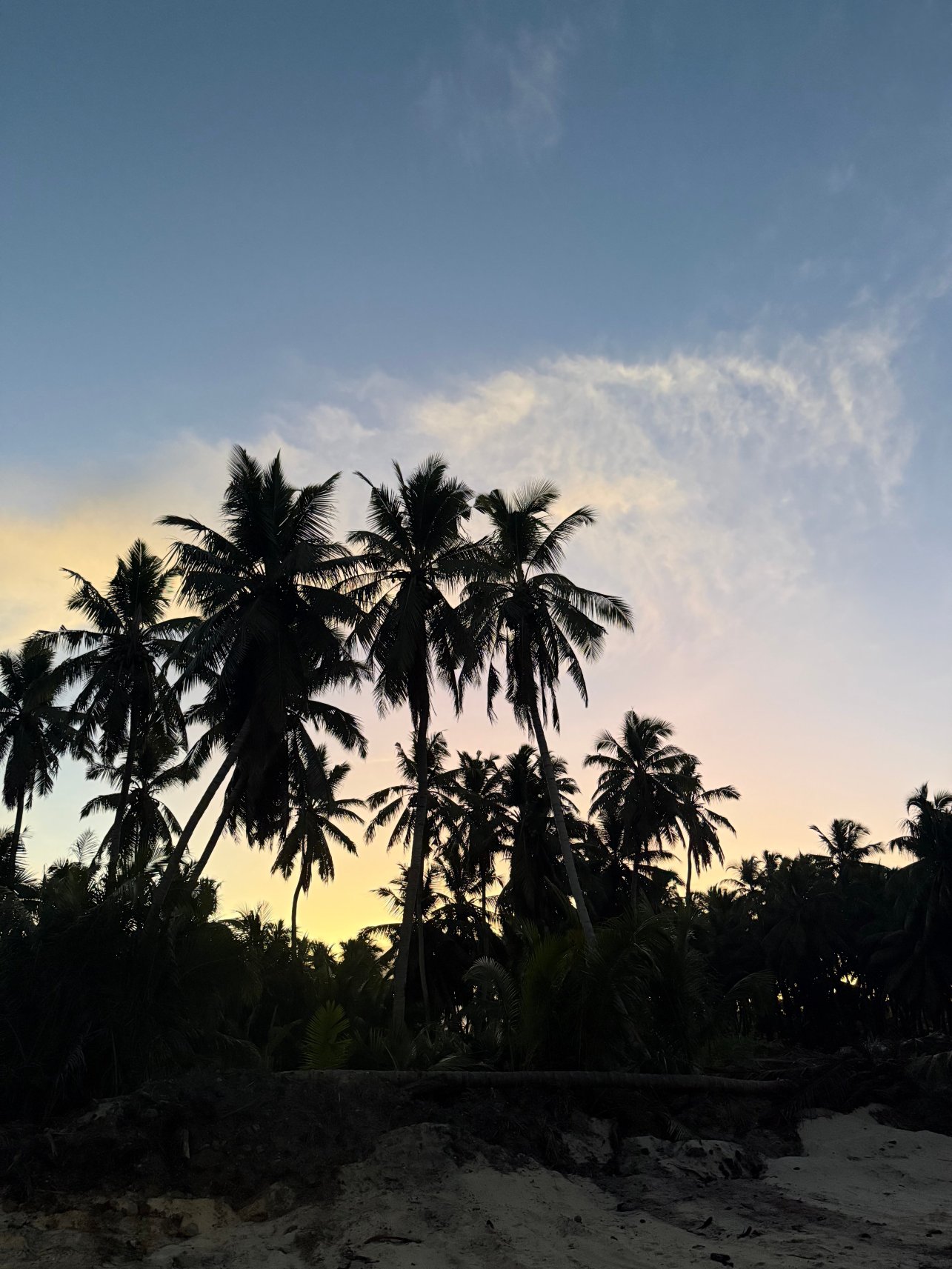 The Breakers Cocos-官方