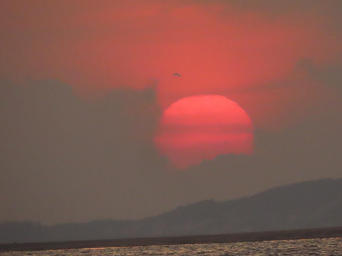 Lady Lamu Dhow-拉穆岛必去景点