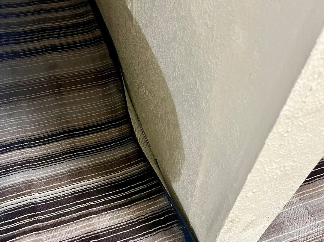 智选假日套房酒店纳奇兹南西主图