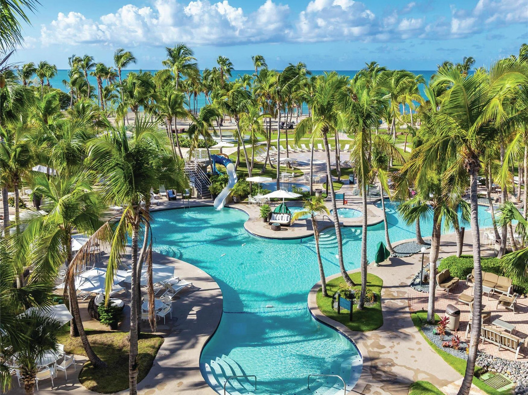 Guayanilla酒店住宿-希尔顿酒店集团