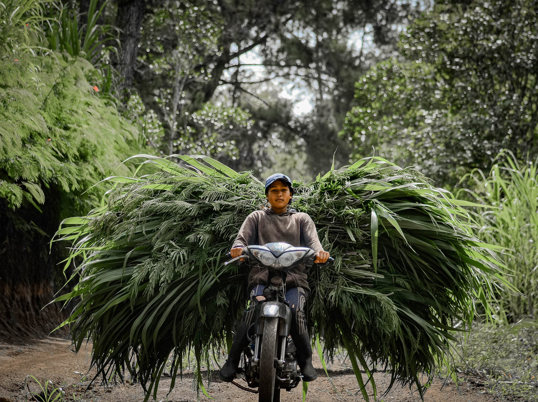Bali Agritours-阿比安塞马尔必去景点